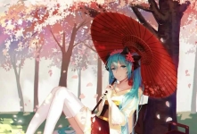每日壁纸