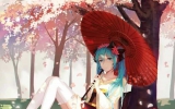 每日壁纸
