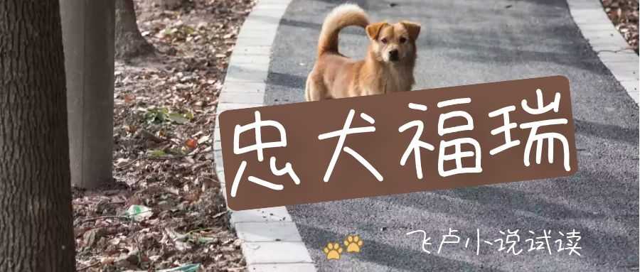 忠犬福瑞.jpg